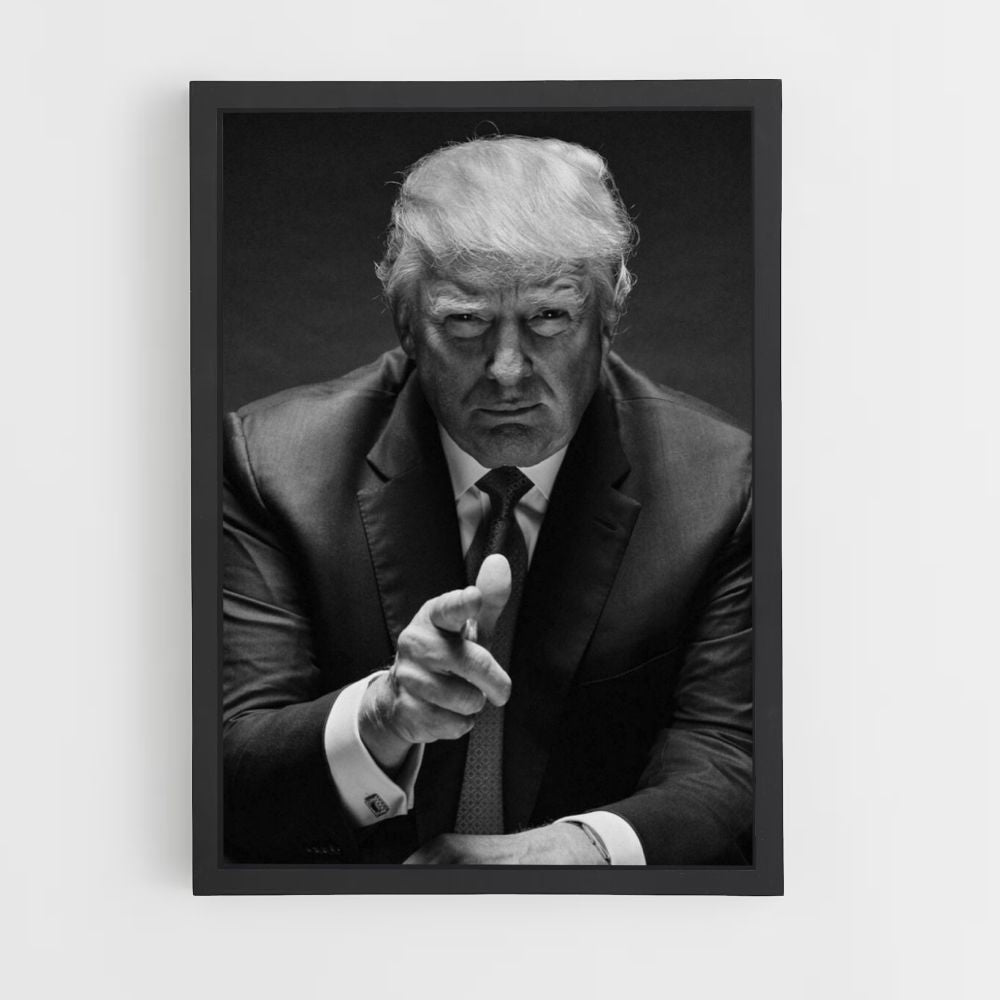 Poster Trump-zaken