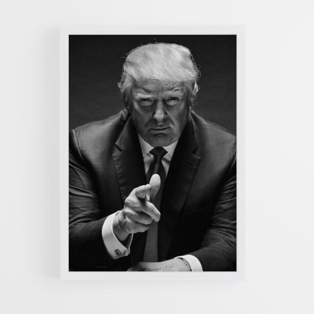 Poster Trump-zaken