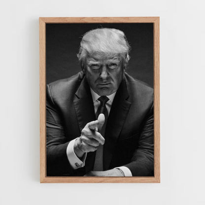 Poster Trump-zaken