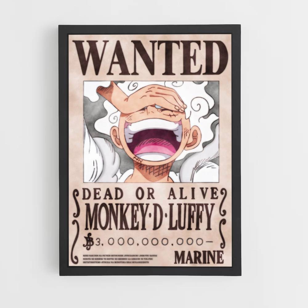 Luffy uitrusting 5-poster