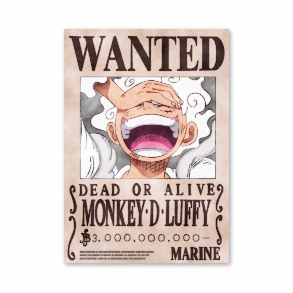 Luffy uitrusting 5-poster