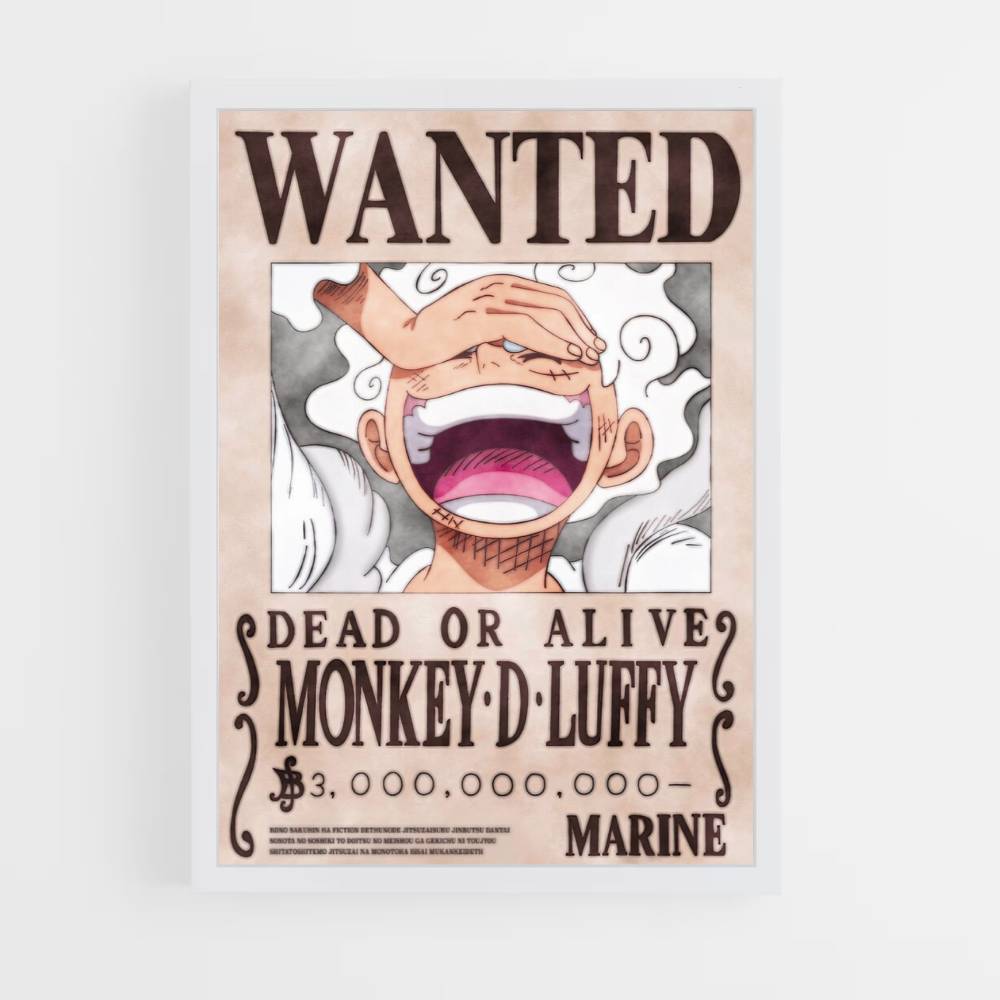 Luffy uitrusting 5-poster