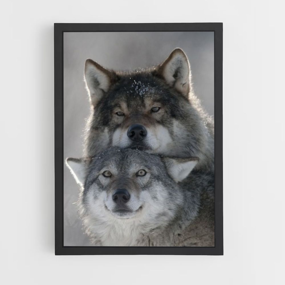 Leuke Wolf-poster