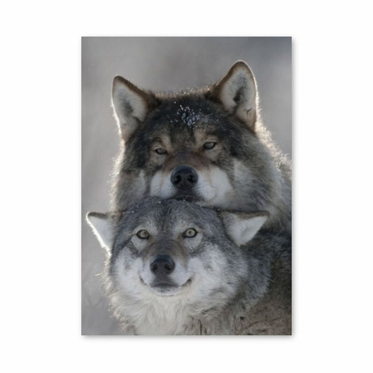 Leuke Wolf-poster