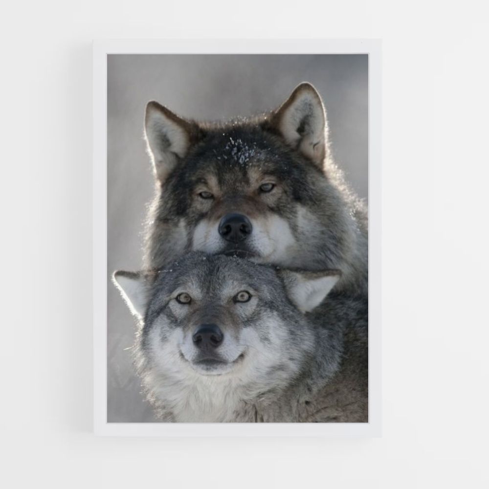 Leuke Wolf-poster