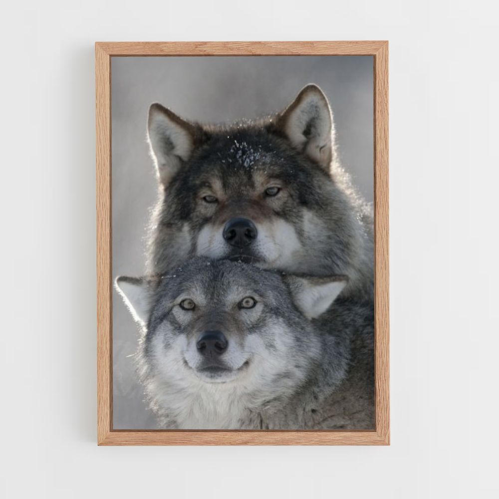 Leuke Wolf-poster