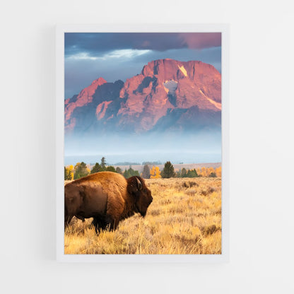 yellowstone-21 cadre Blanc