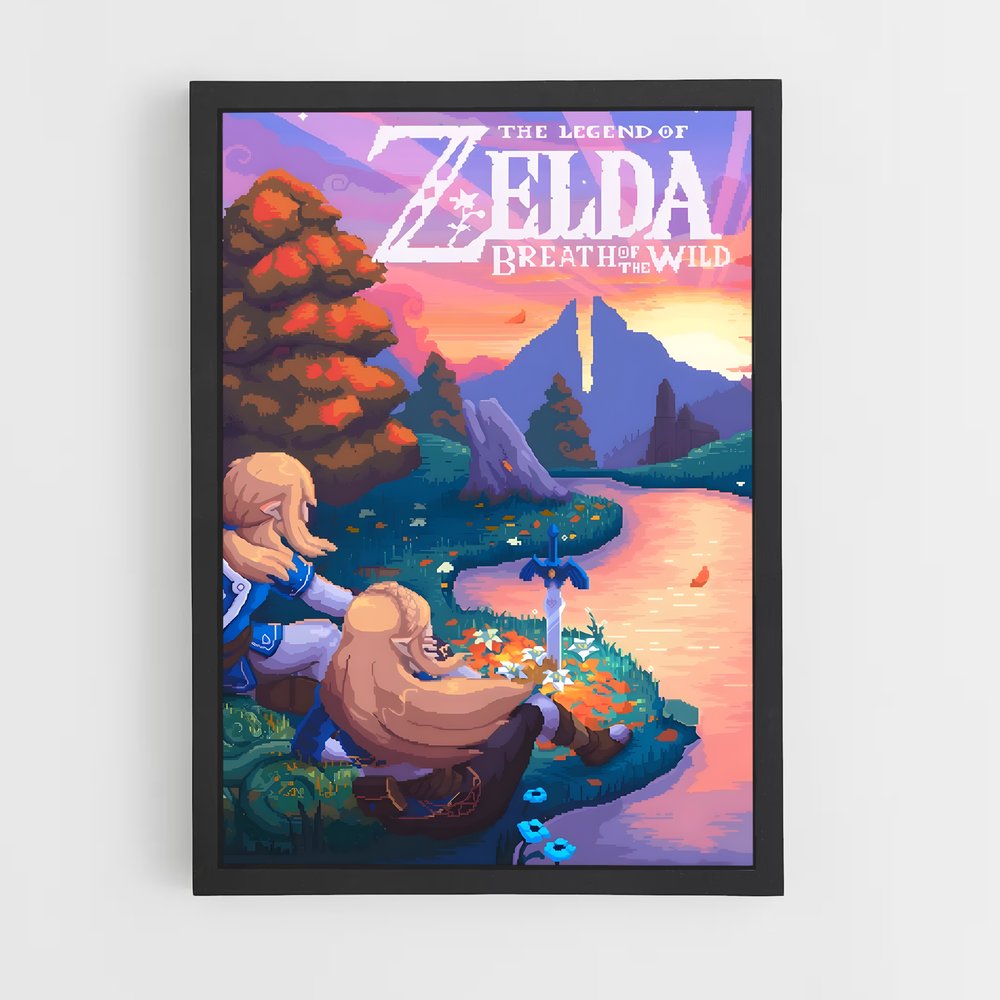 zelda-14 cadre Noir