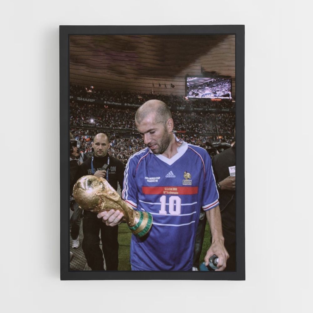 Zidane-bekerposter