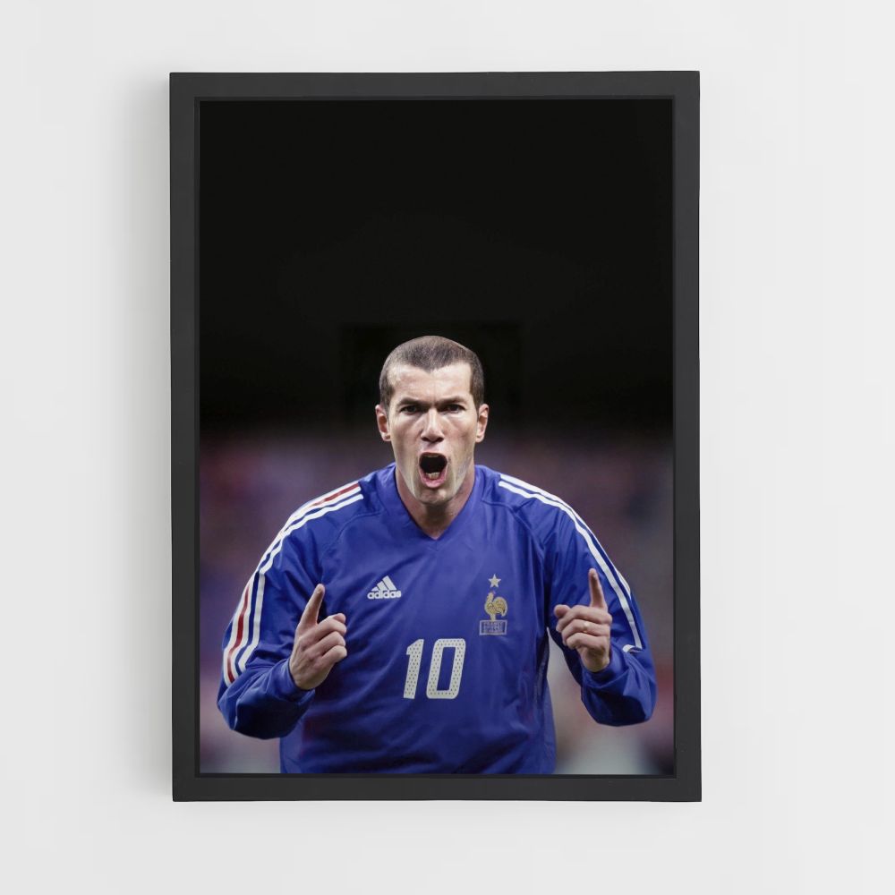 Poster Zidane-doelpunt