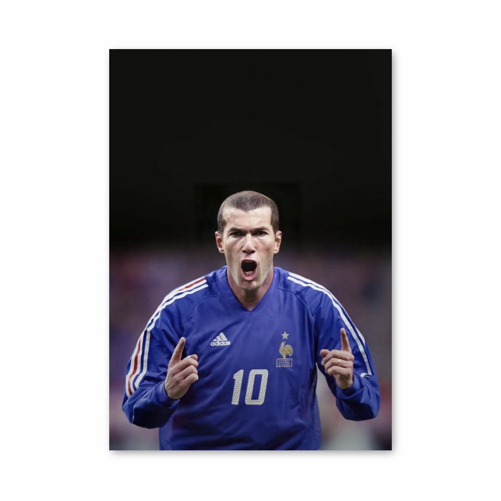 Poster Zidane-doelpunt