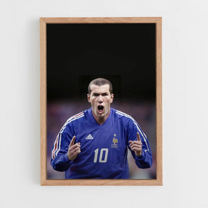 Poster Zidane-doelpunt